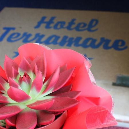 Hotel Terramare Lido di Jesolo Buitenkant foto