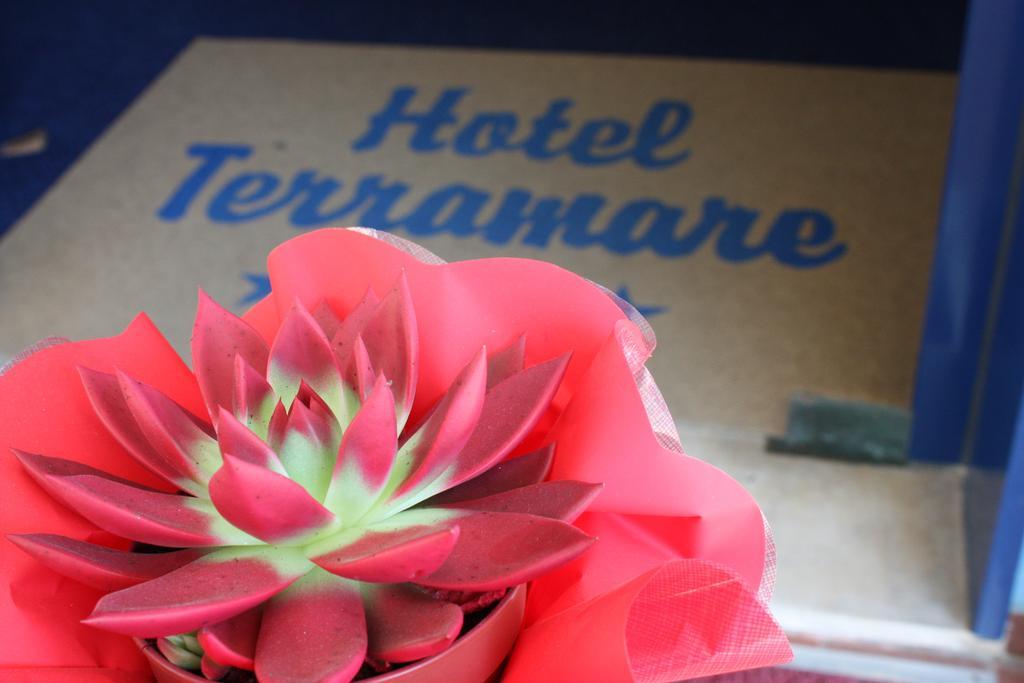 Hotel Terramare Lido di Jesolo Buitenkant foto